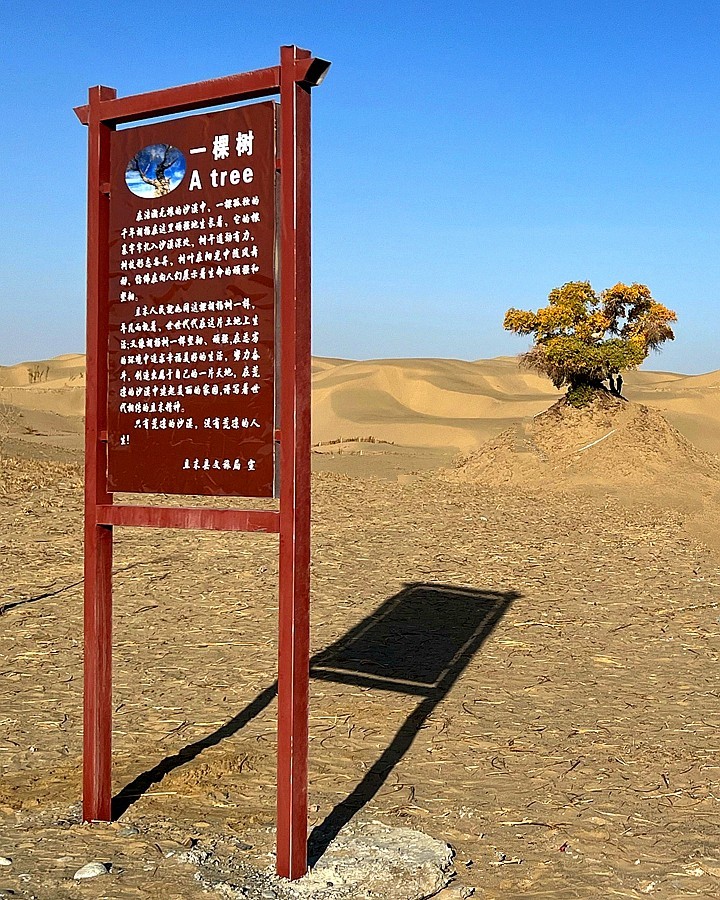 《不老松：纪实摄影》【山河锦绣】南疆游摄：穿越塔克拉玛干大沙漠！ (4)