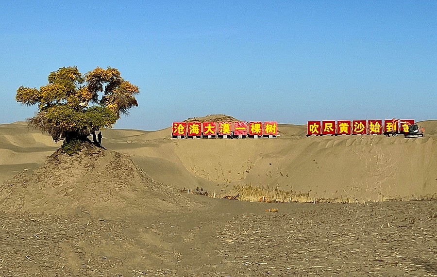 《不老松：纪实摄影》【山河锦绣】南疆游摄：穿越塔克拉玛干大沙漠！ (4)