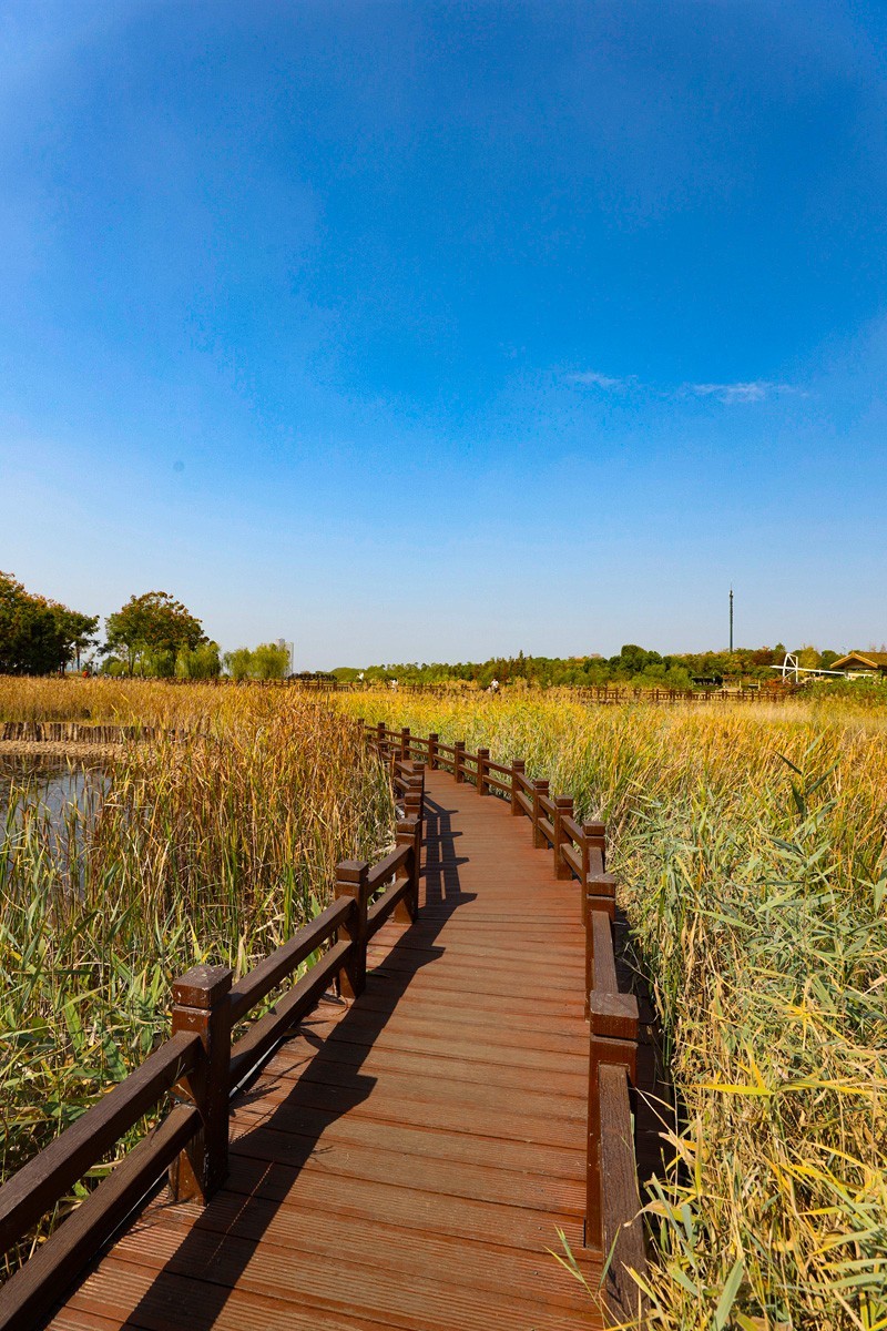 松雅湖湿地公园10