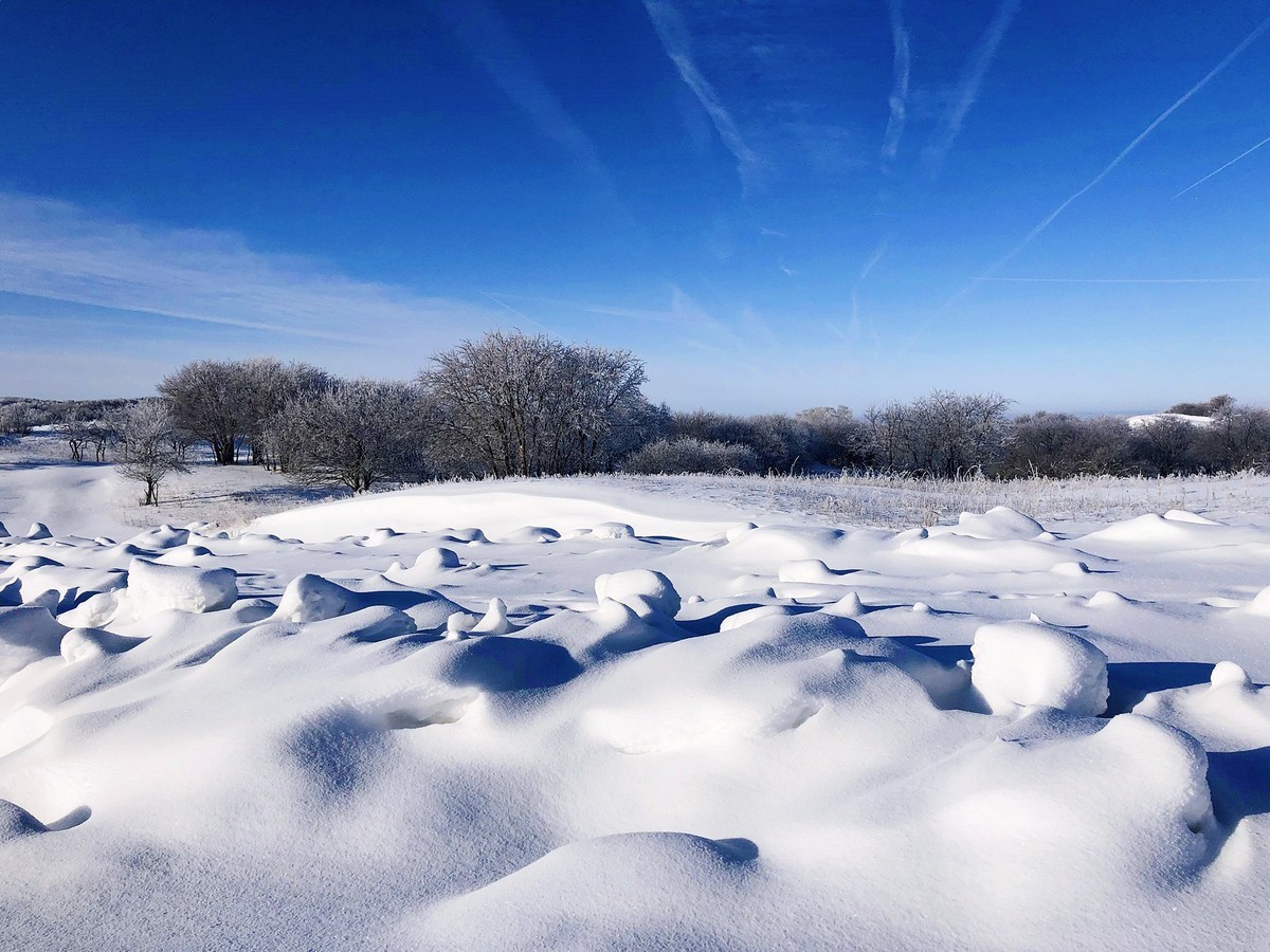 冬日的御道口草原森林风景区美得冷艳又梦幻