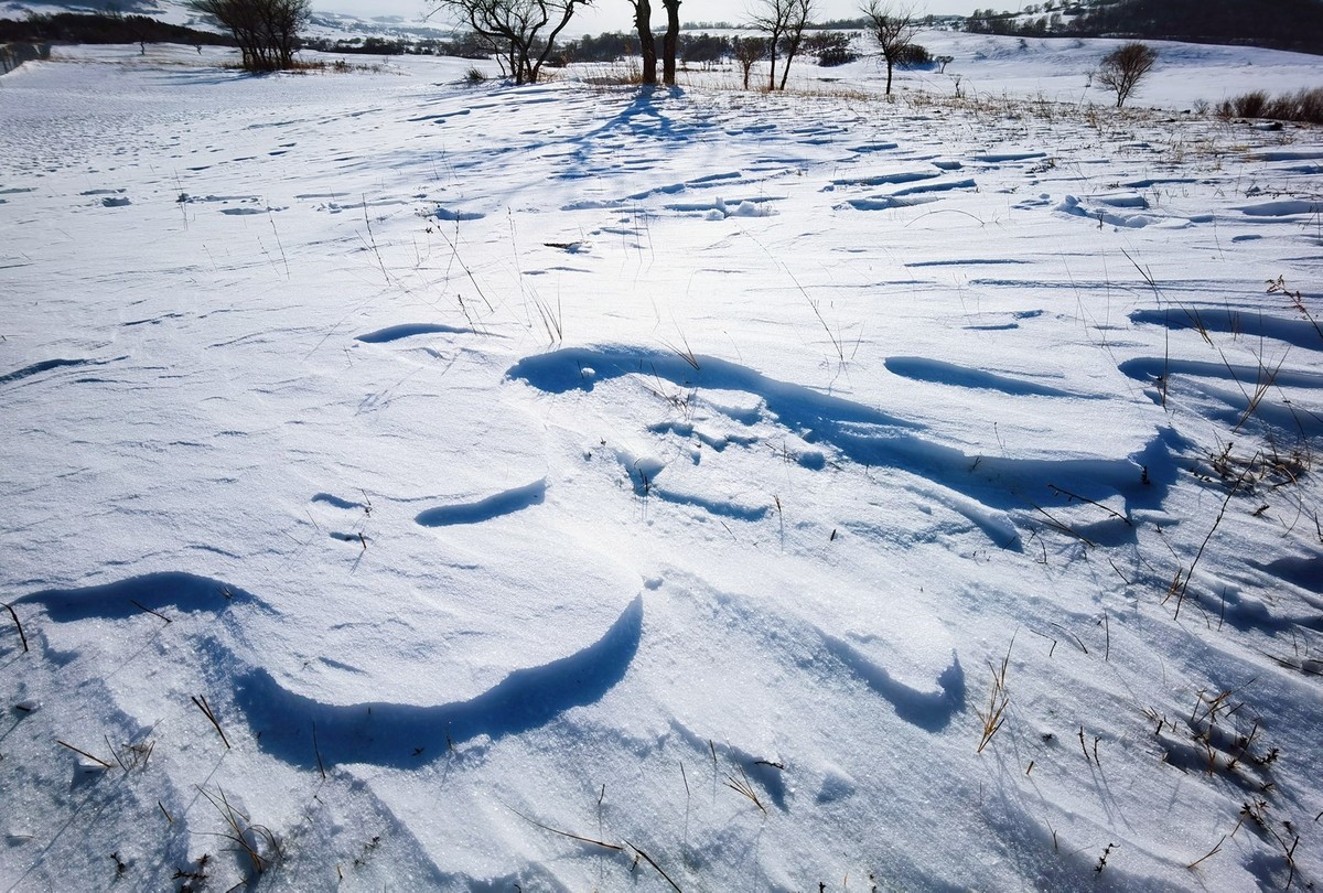 冬日的御道口草原森林风景区美得冷艳又梦幻
