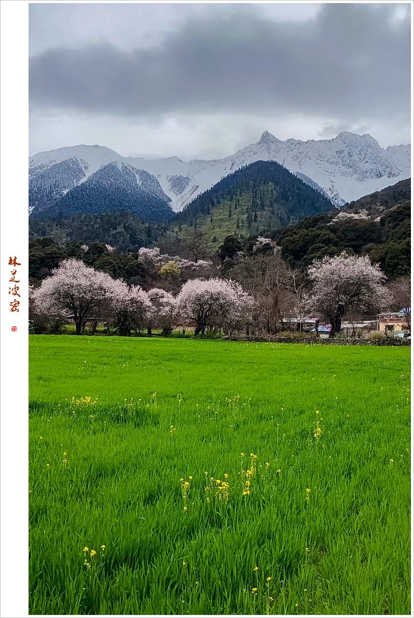 2023年第0236贴-林芝波密纪实抓拍（0409F）