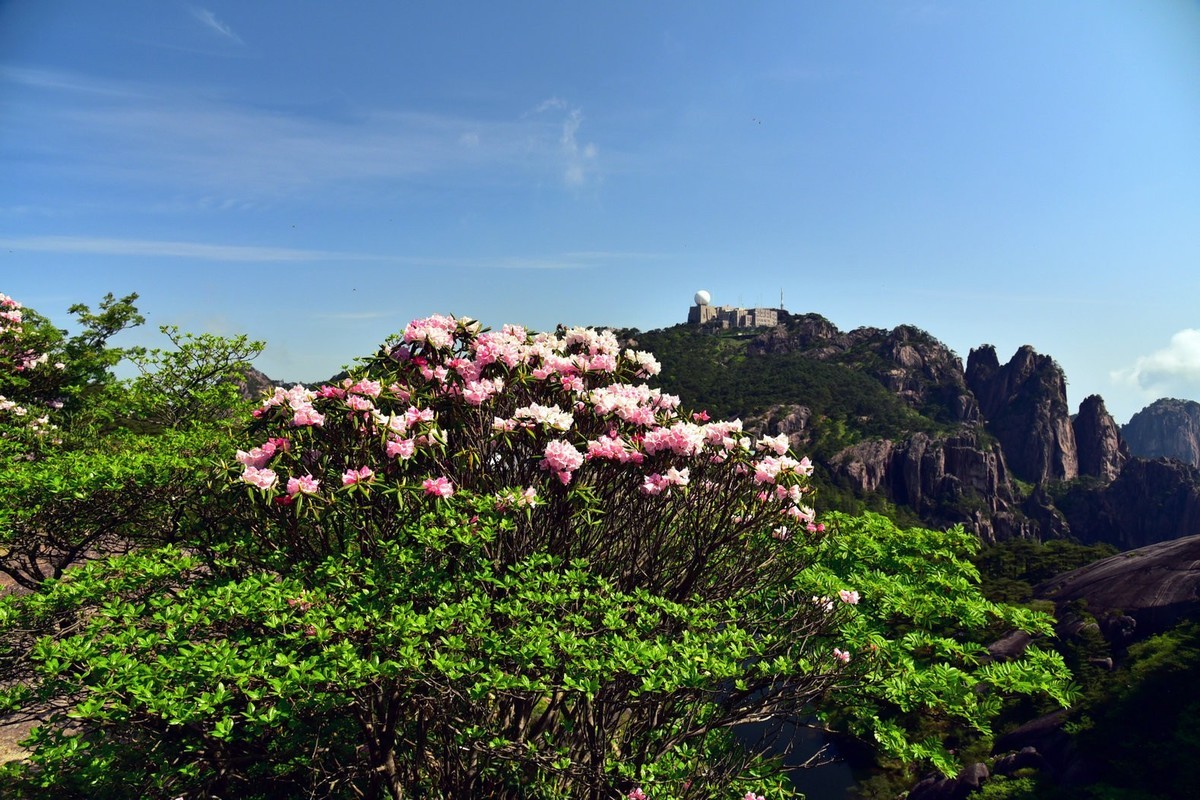无梦徽州，天下黄山！
