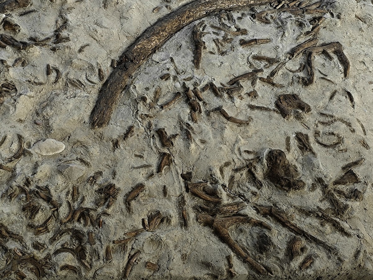 金沙遗址博物馆随拍