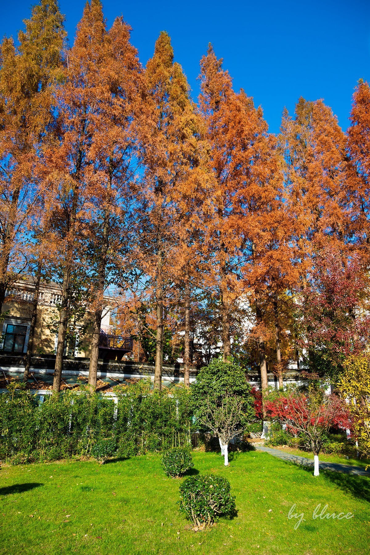 再游总统府【续】