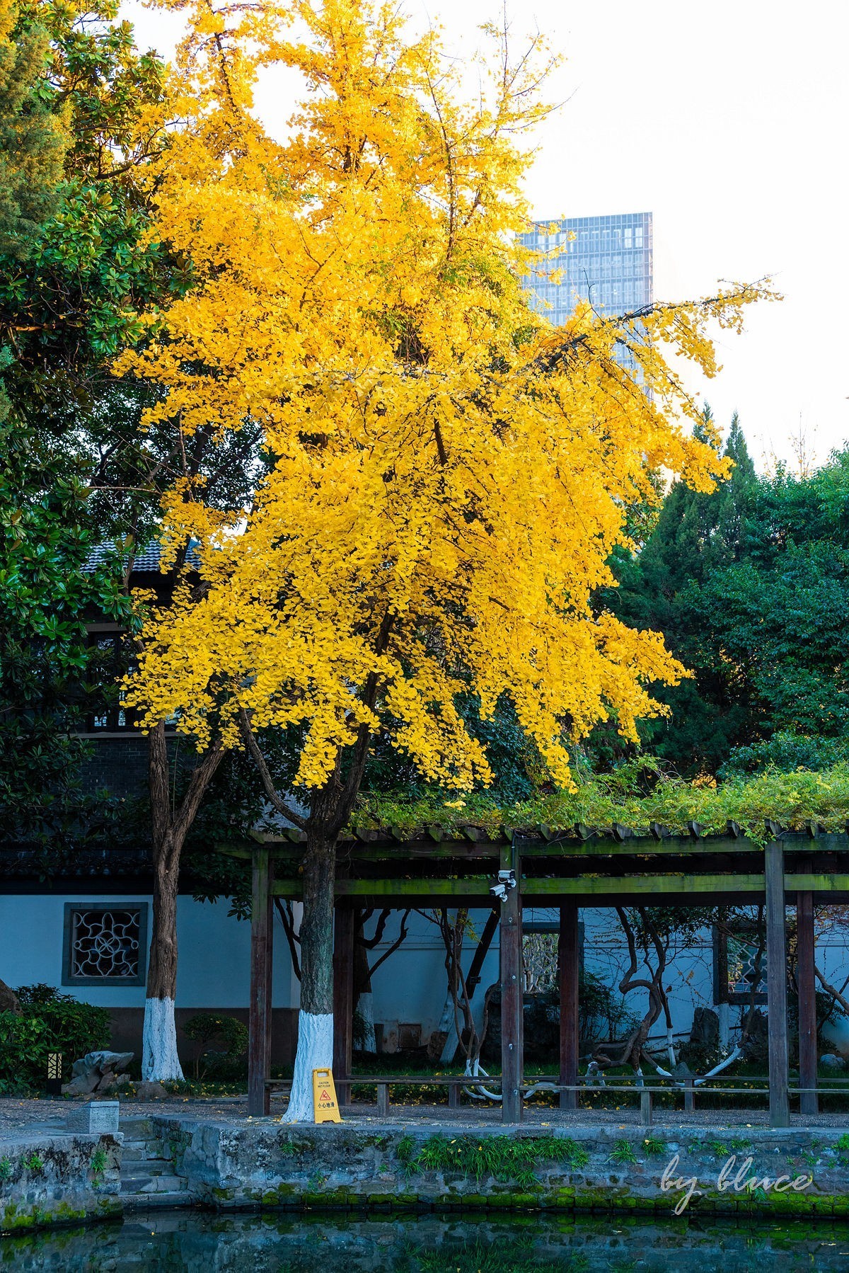 再游总统府【续】