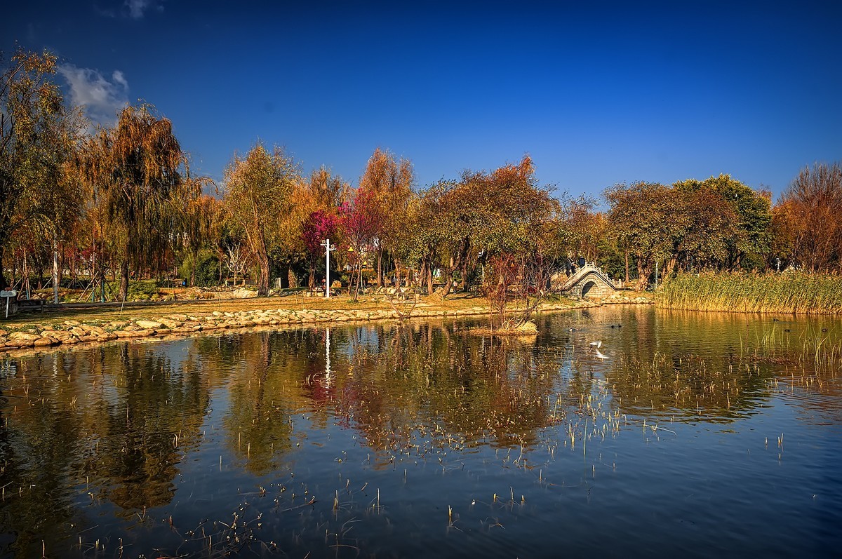 云南大理 · 洱海月湿地