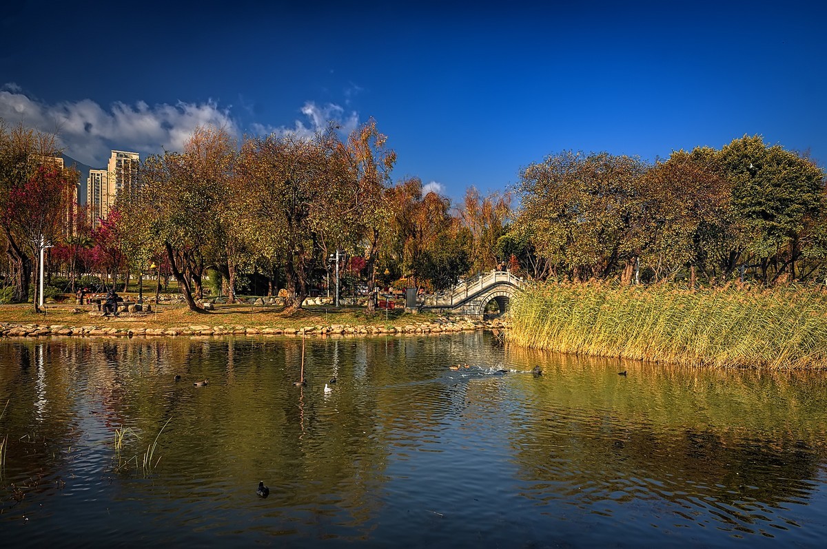 云南大理 · 洱海月湿地
