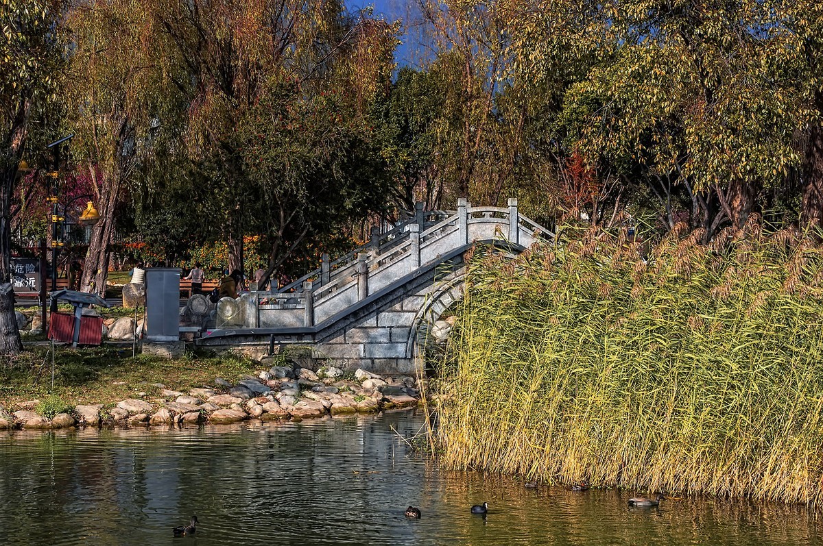 云南大理 · 洱海月湿地