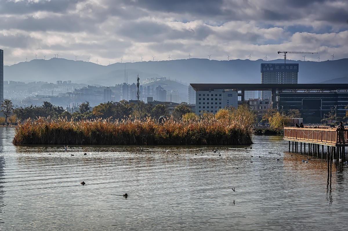 云南大理 · 洱海月湿地