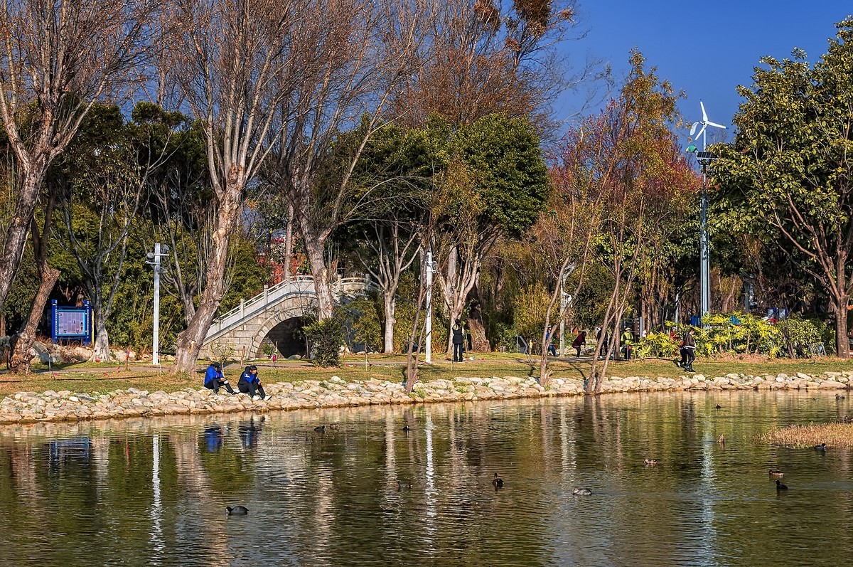 云南大理 · 洱海月湿地