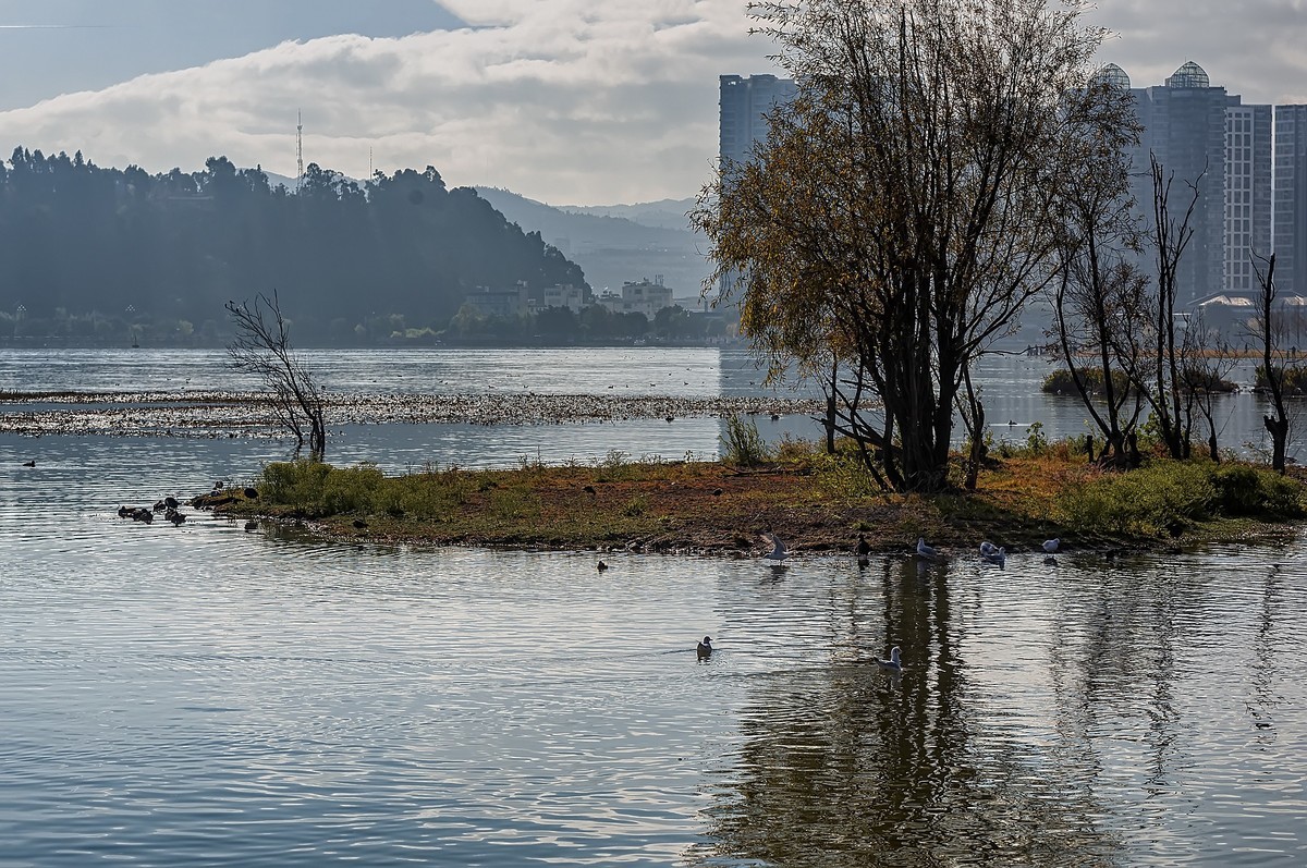 云南大理 · 洱海月湿地