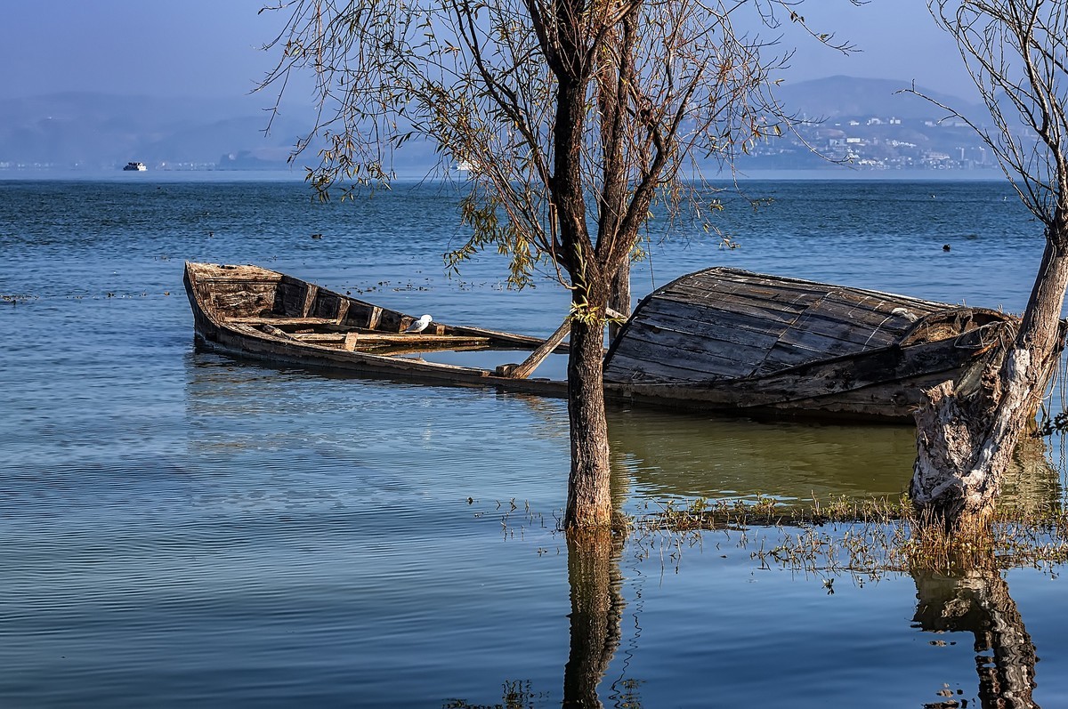 云南大理 · 洱海月湿地