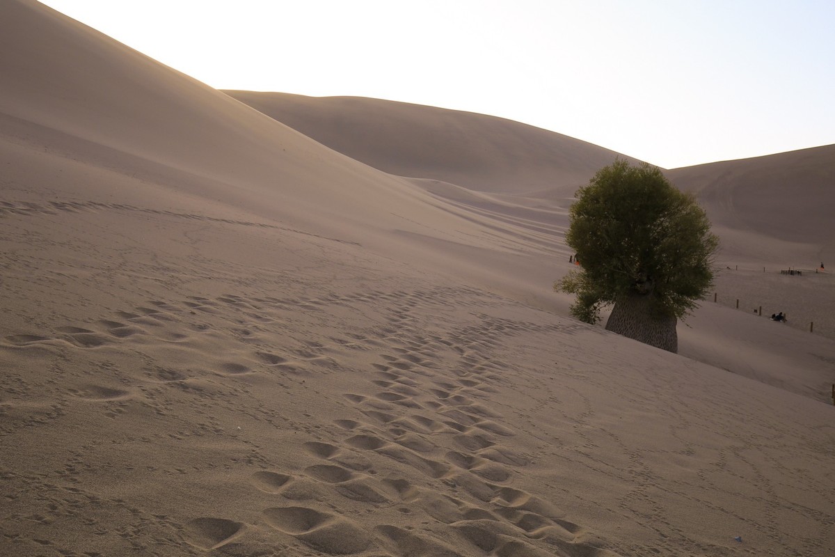 我只是把出去看到的随手记录下来（九十一）