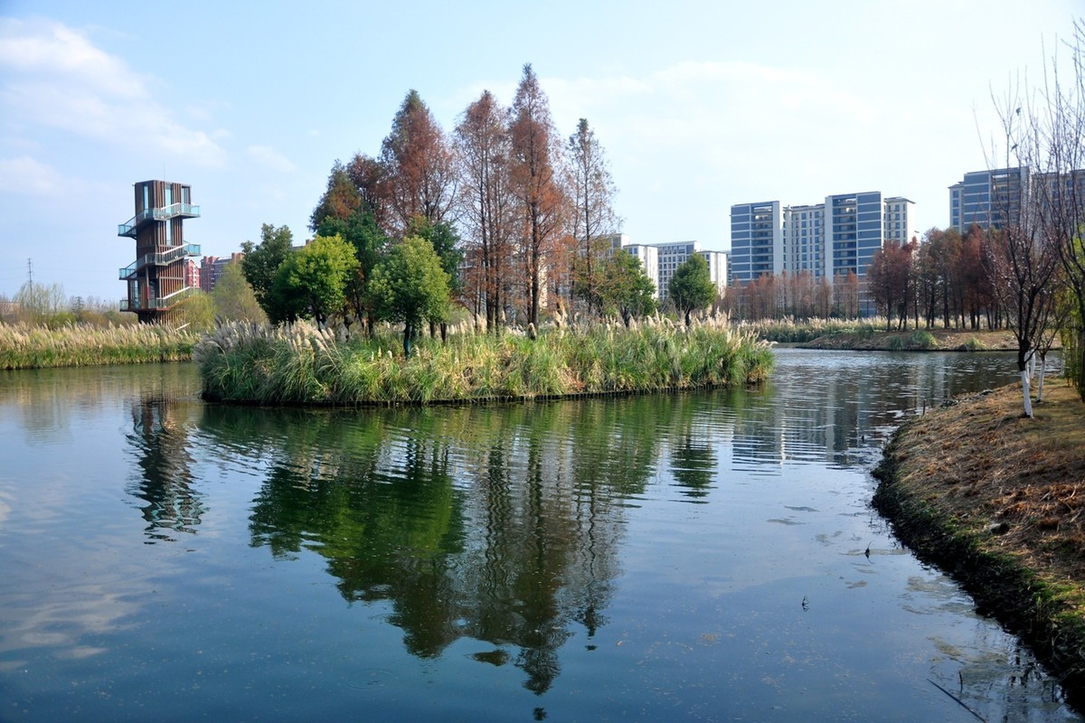 初春季节（续）