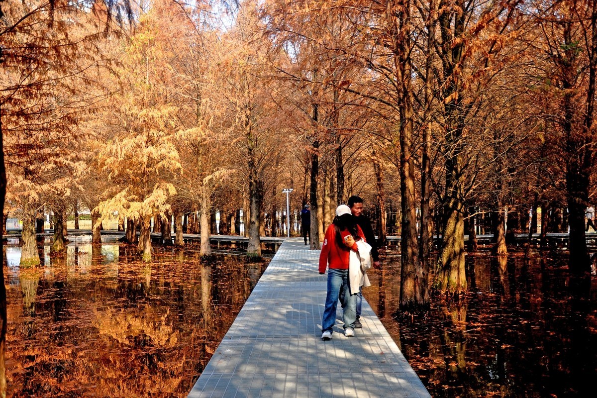 初春季节（续）