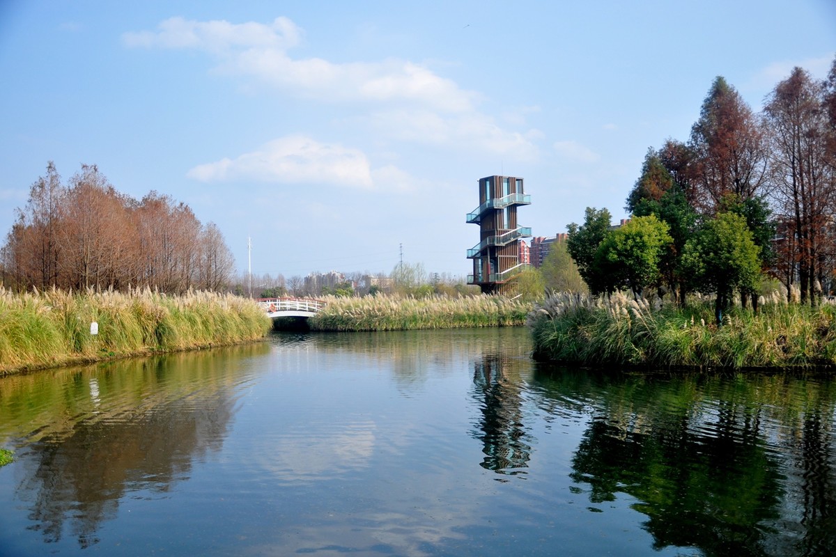 初春季节（续）