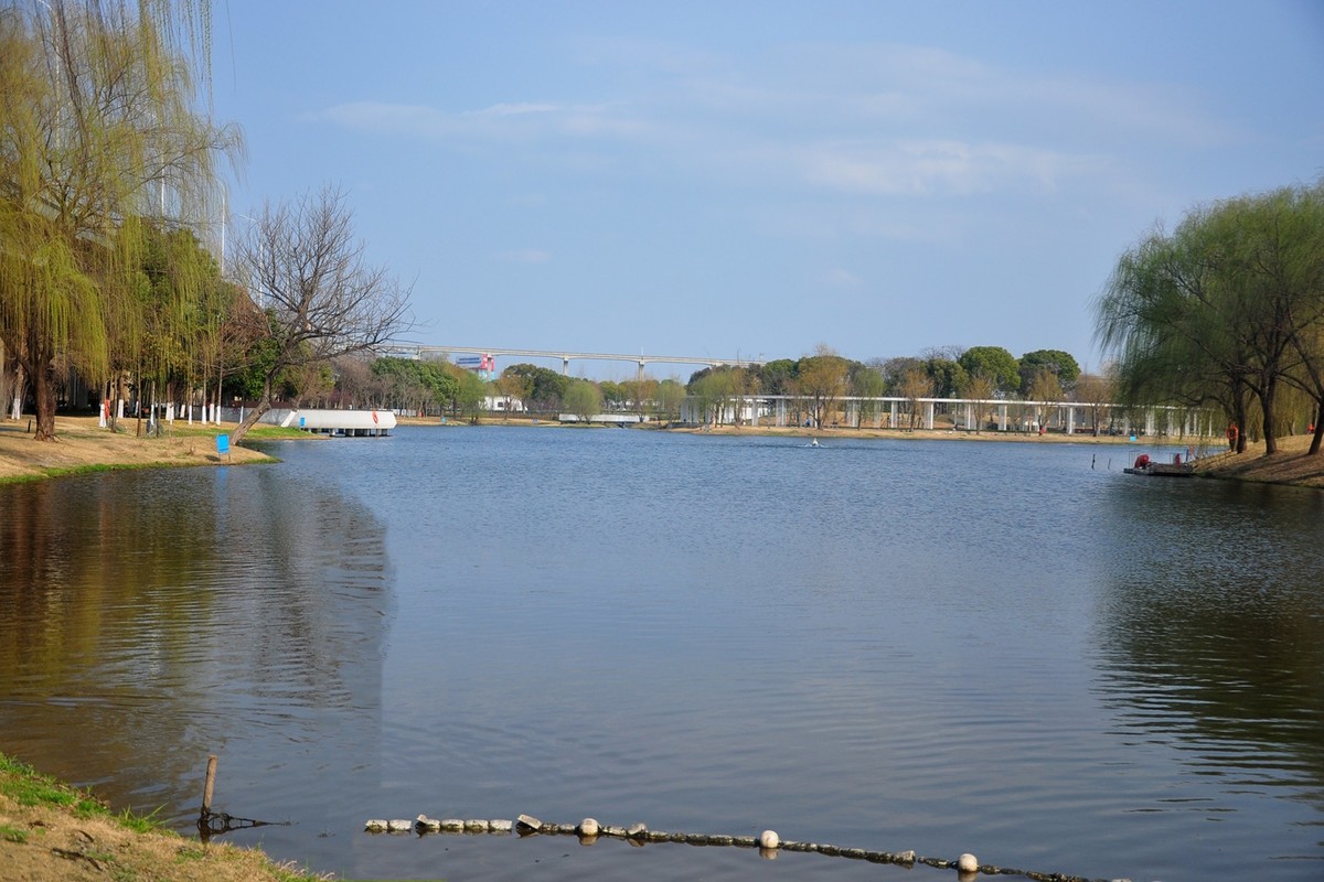 初春季节（续）