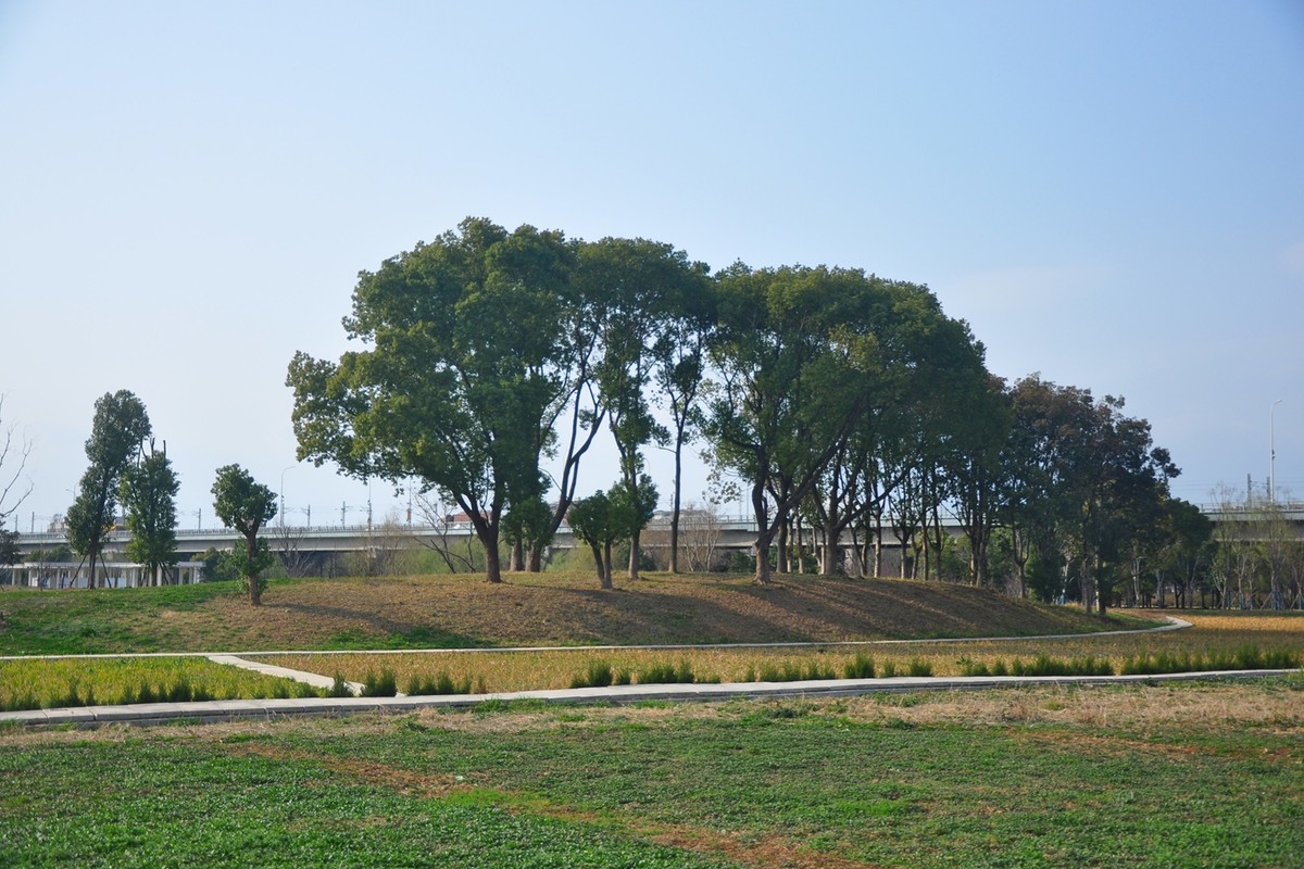 初春季节（续）