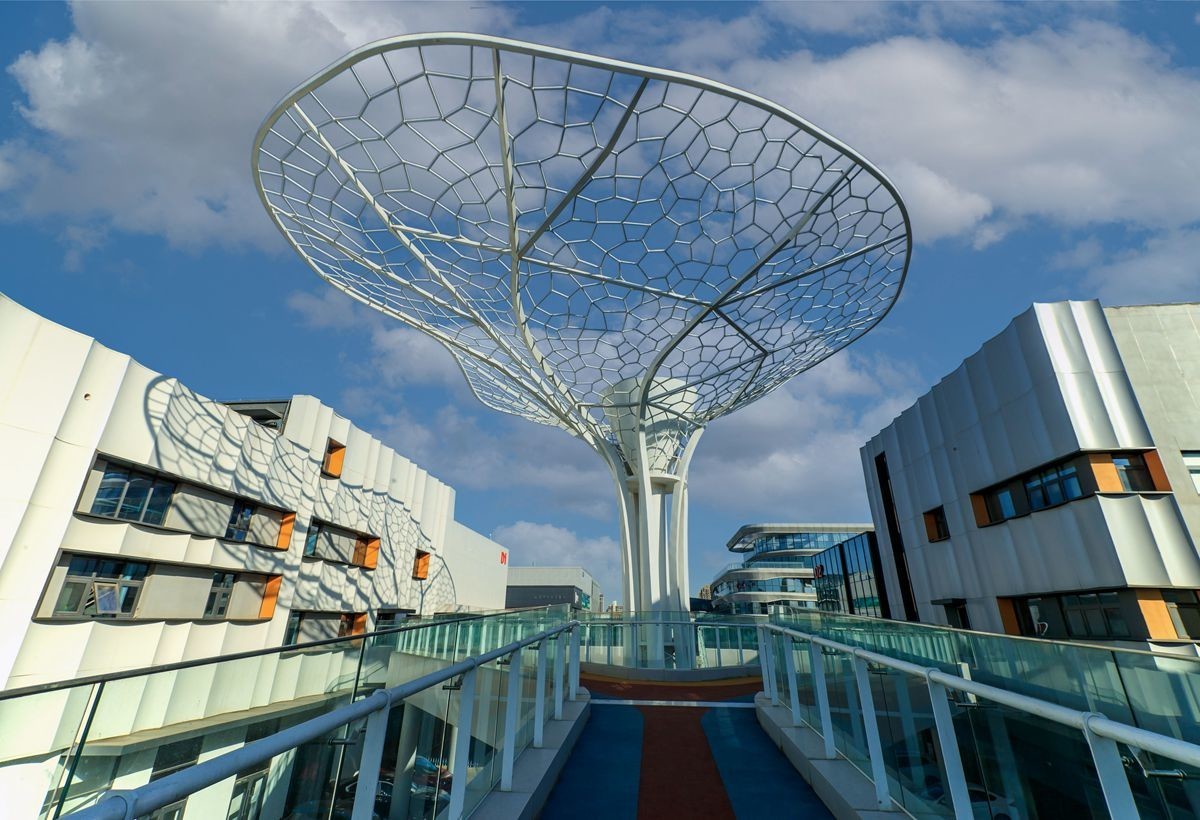 桥西区汽车园景一组