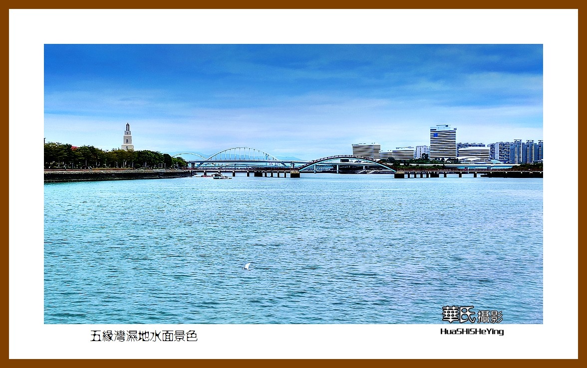 2022南行慢游（福建065）—五缘湾湿地水面景色（厦门市）