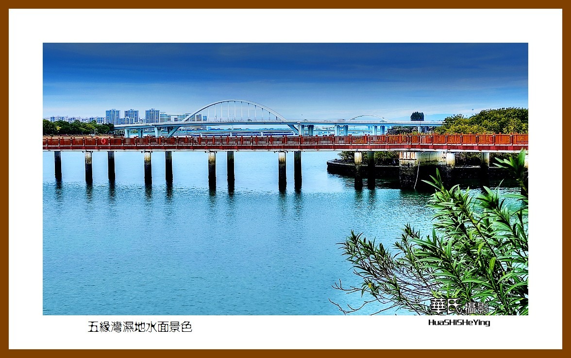 2022南行慢游（福建065）—五缘湾湿地水面景色（厦门市）