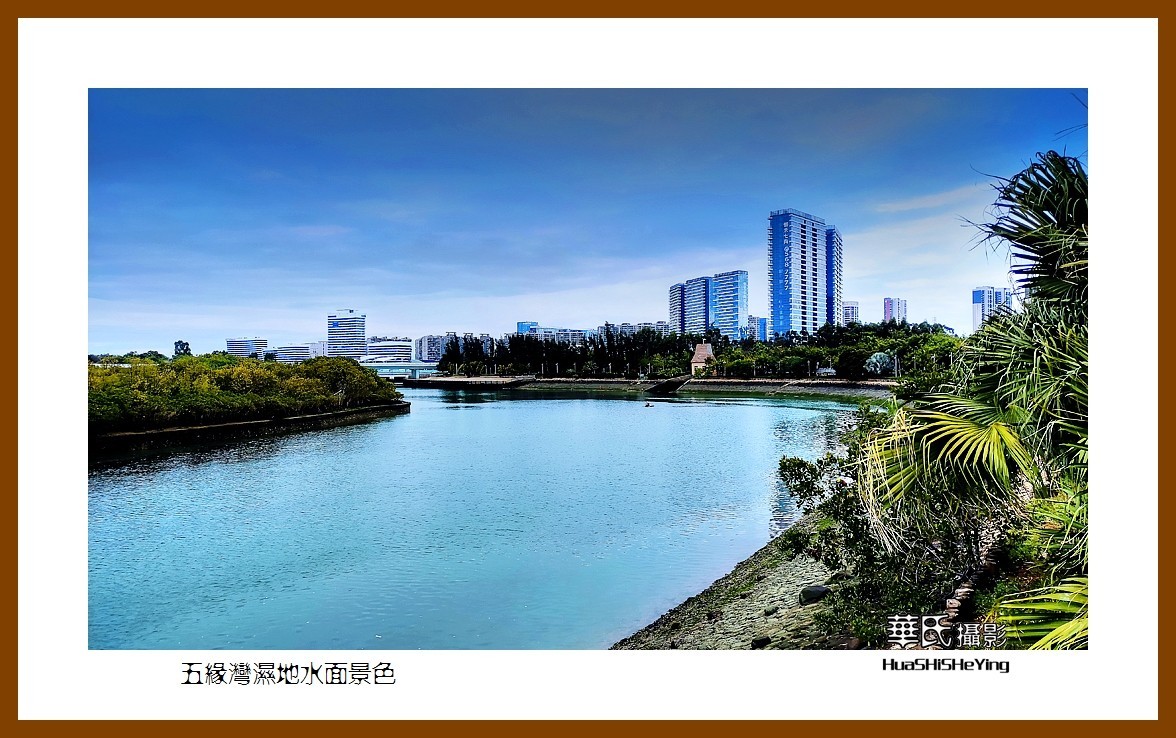 2022南行慢游（福建065）—五缘湾湿地水面景色（厦门市）