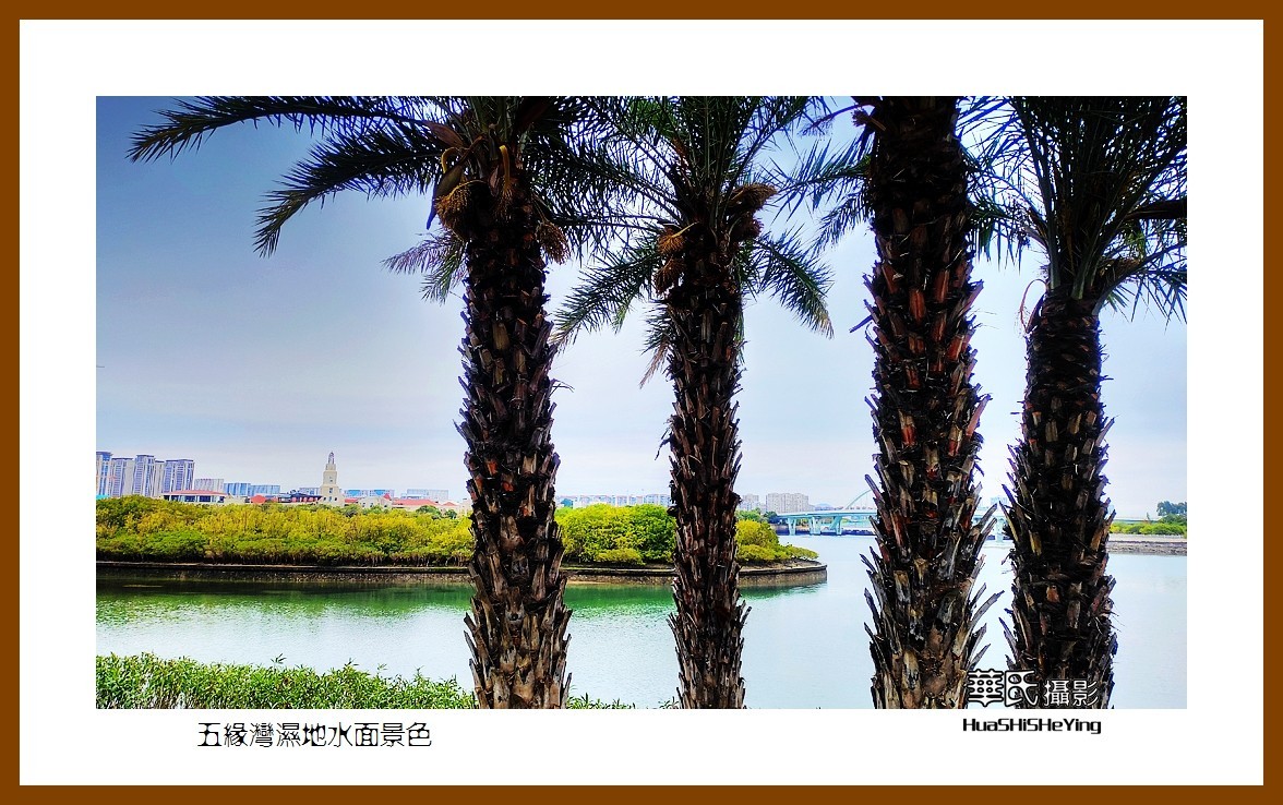 2022南行慢游（福建065）—五缘湾湿地水面景色（厦门市）