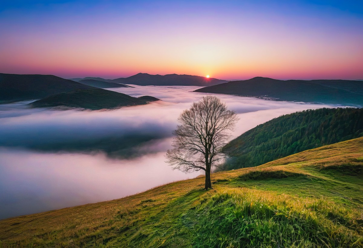 日出的心灵奇遇