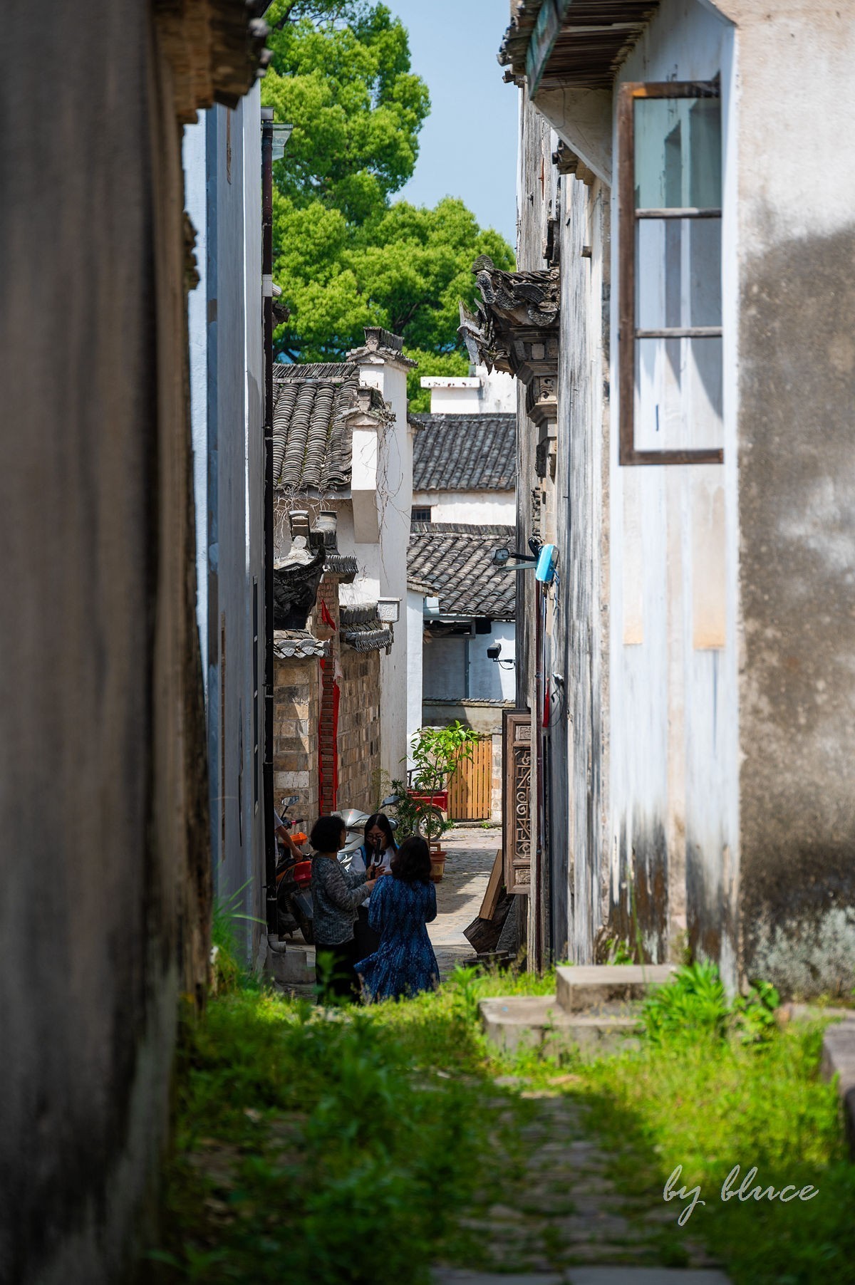 南屏印象（6）——完