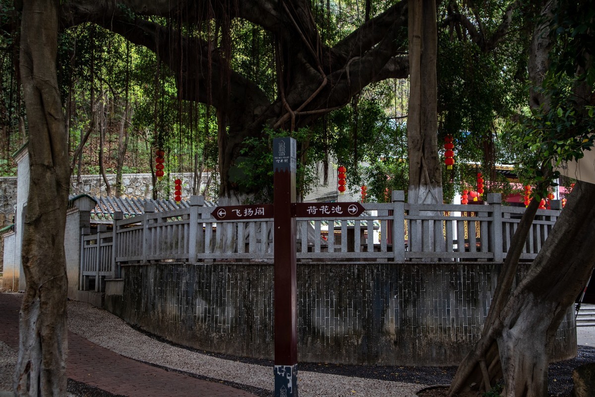 深井古村（6）