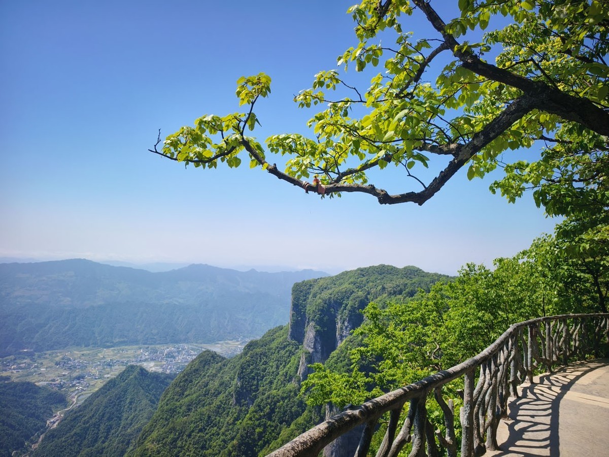 张家界   天门山（10）