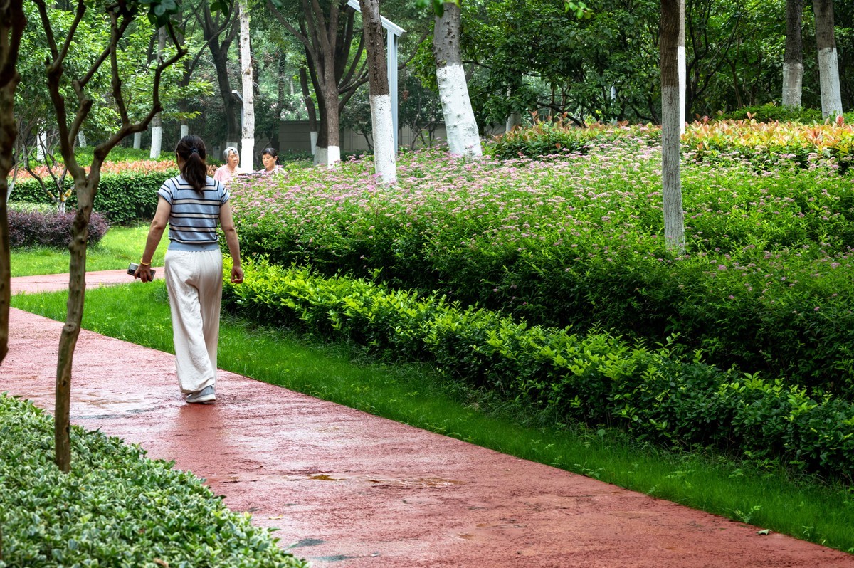 庐州印象（479）公园小区