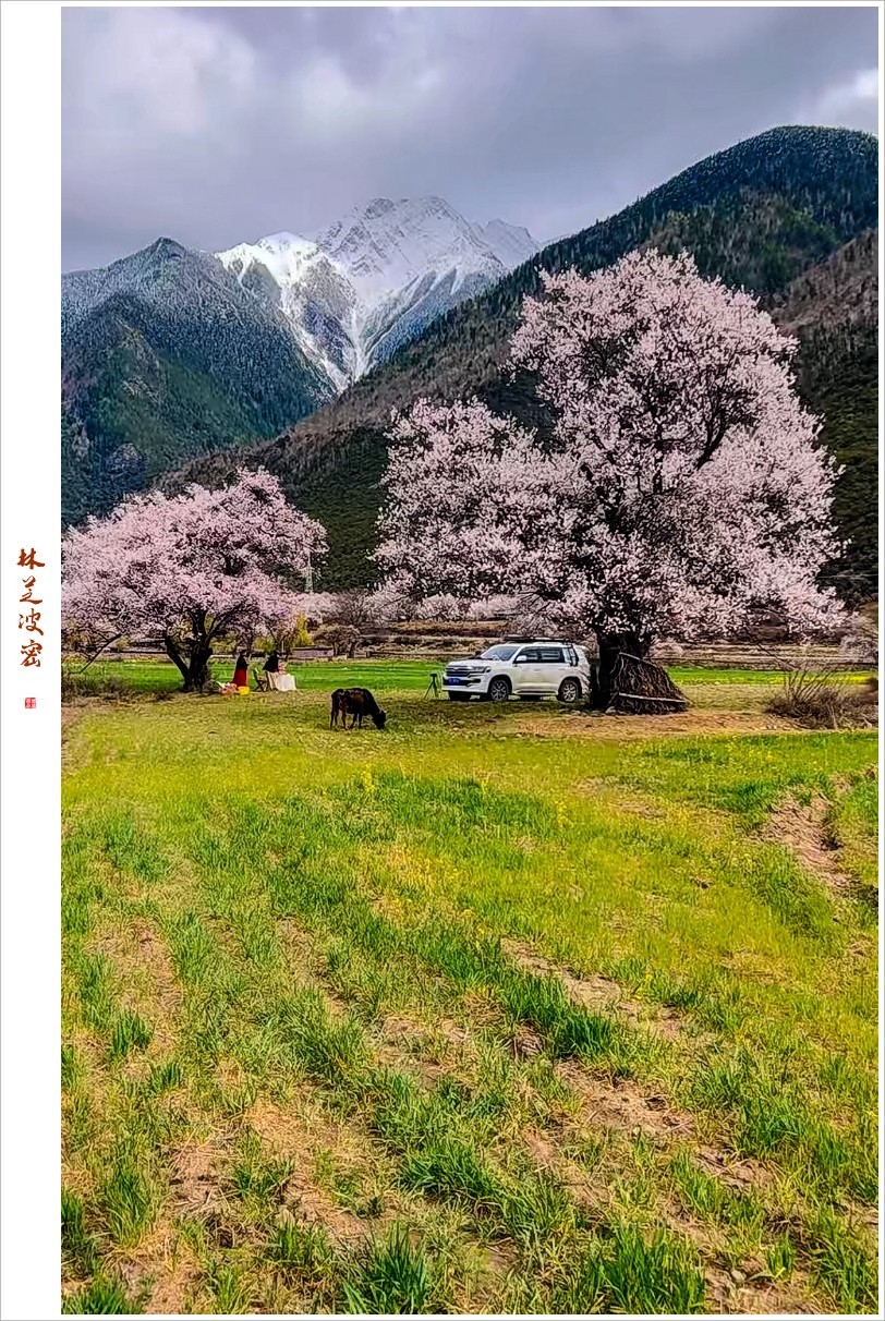 2023年第0236贴-林芝波密纪实抓拍（0409F）