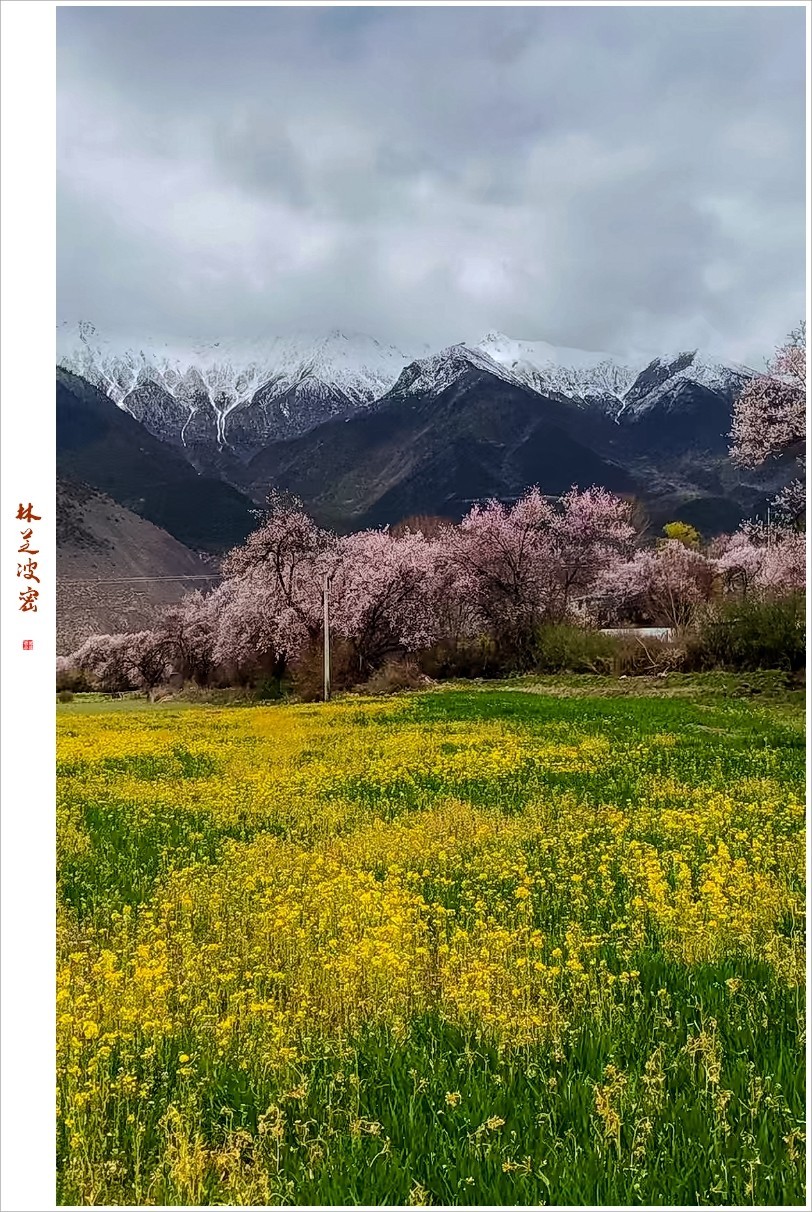 2023年第0236贴-林芝波密纪实抓拍（0409F）