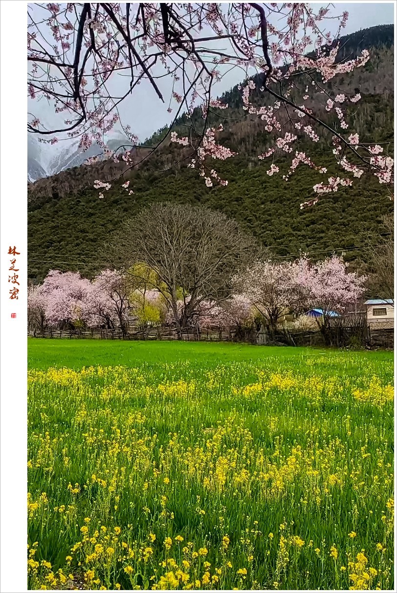 2023年第0236贴-林芝波密纪实抓拍（0409F）