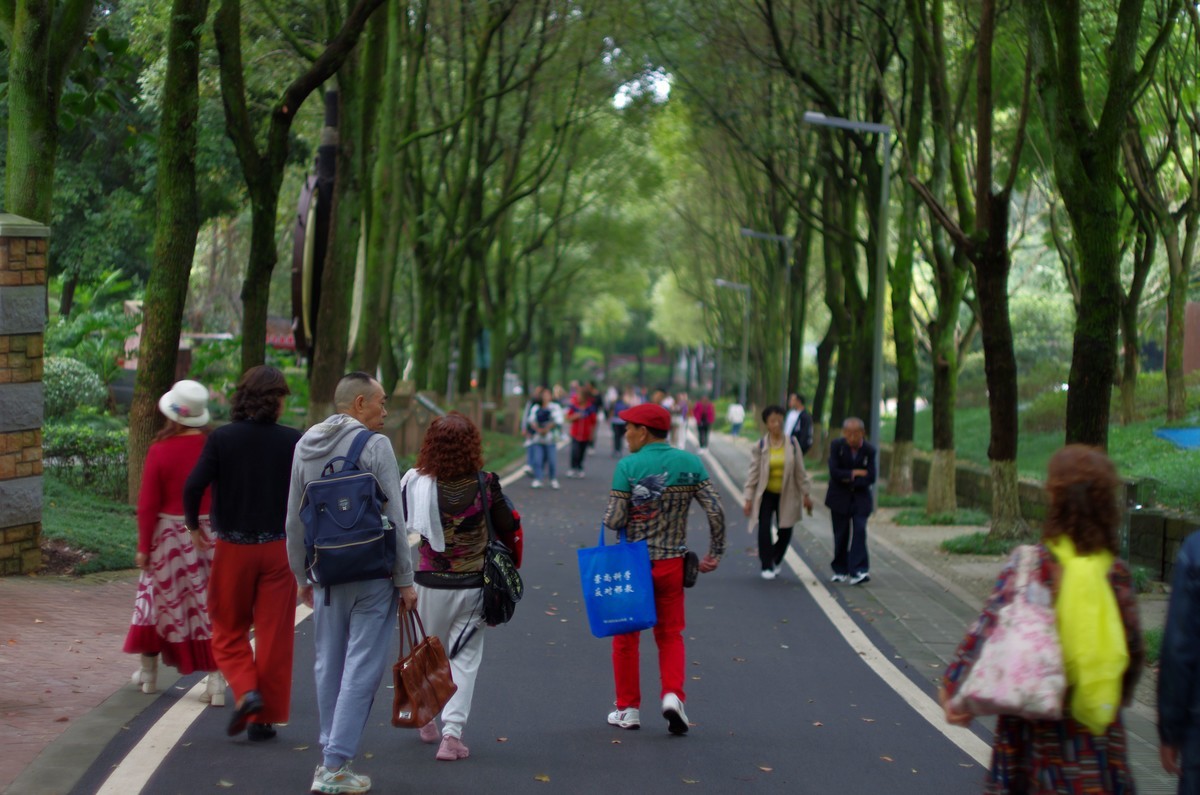 太苦玛标头拍菊展