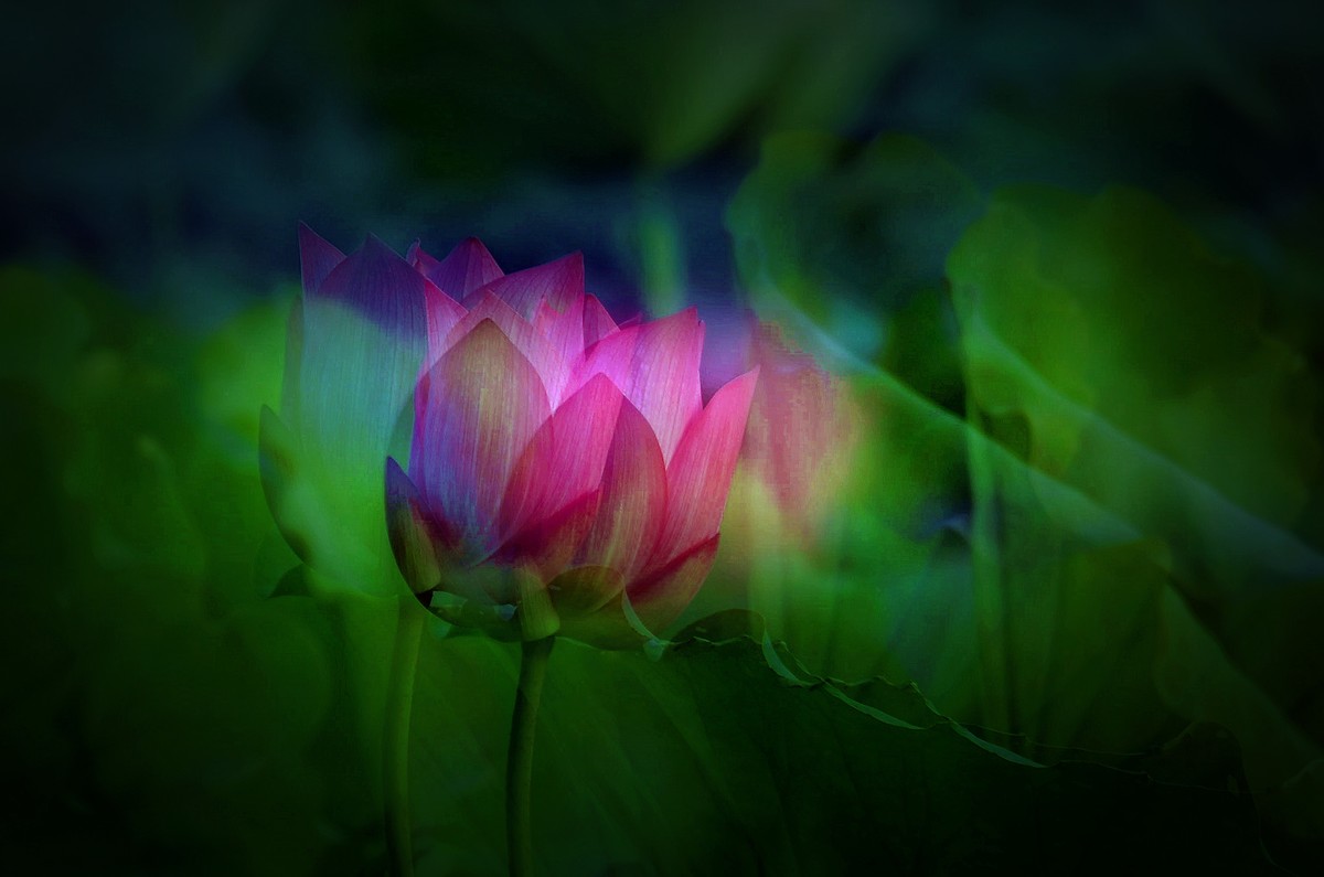 为荷而拍/多曝习摄