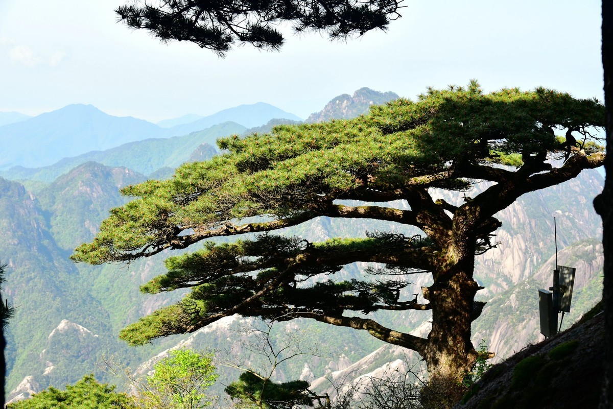无梦徽州，天下黄山！