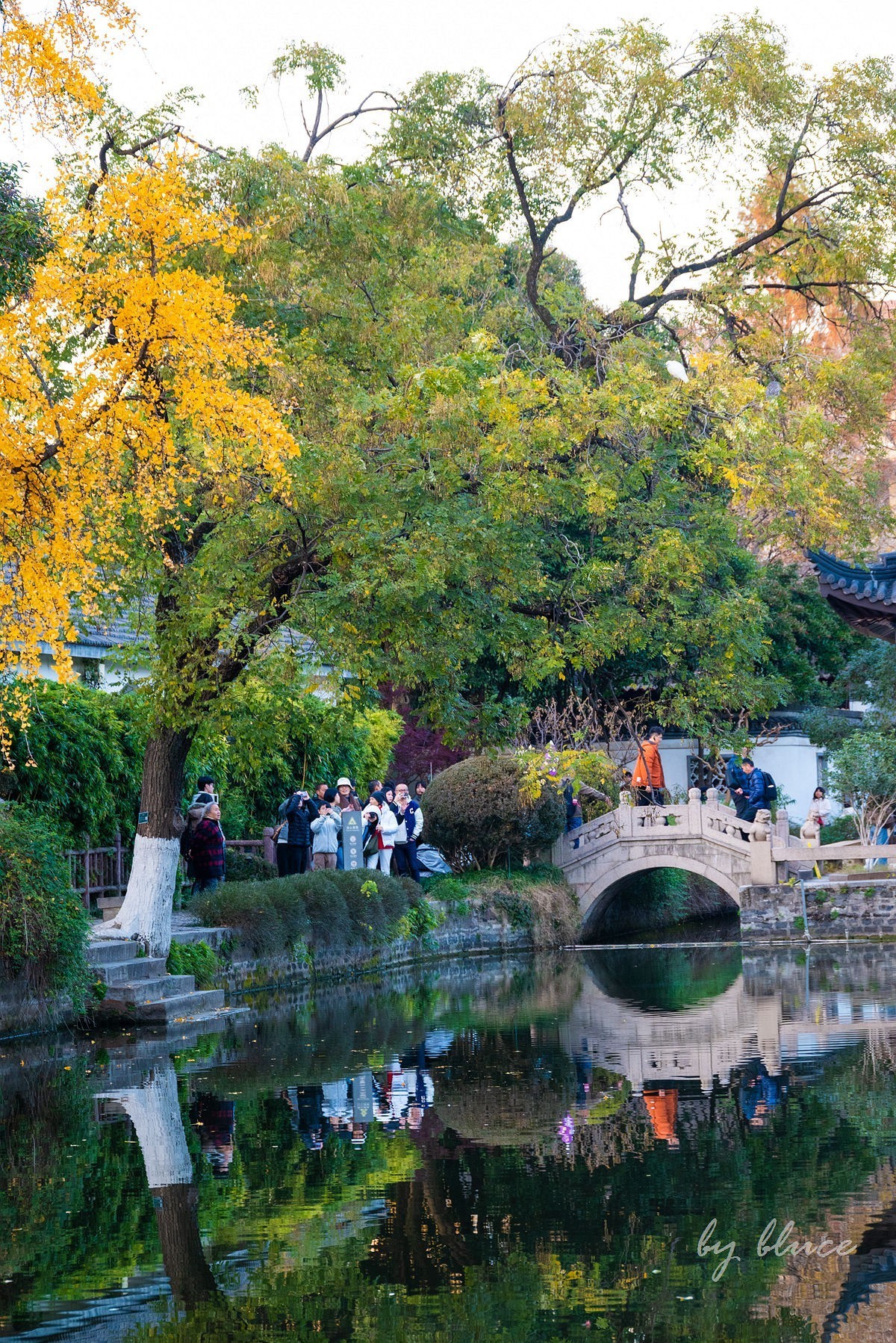 再游总统府【续】