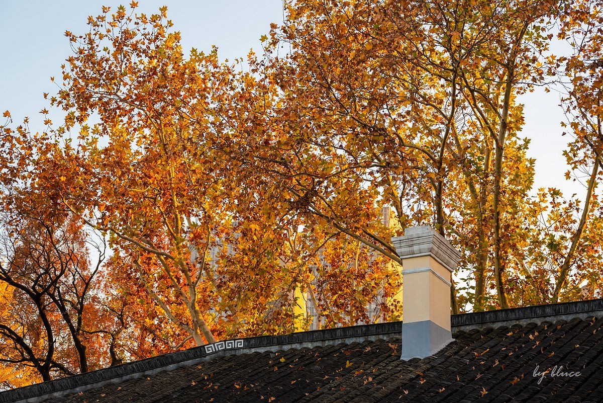 再游总统府【续】