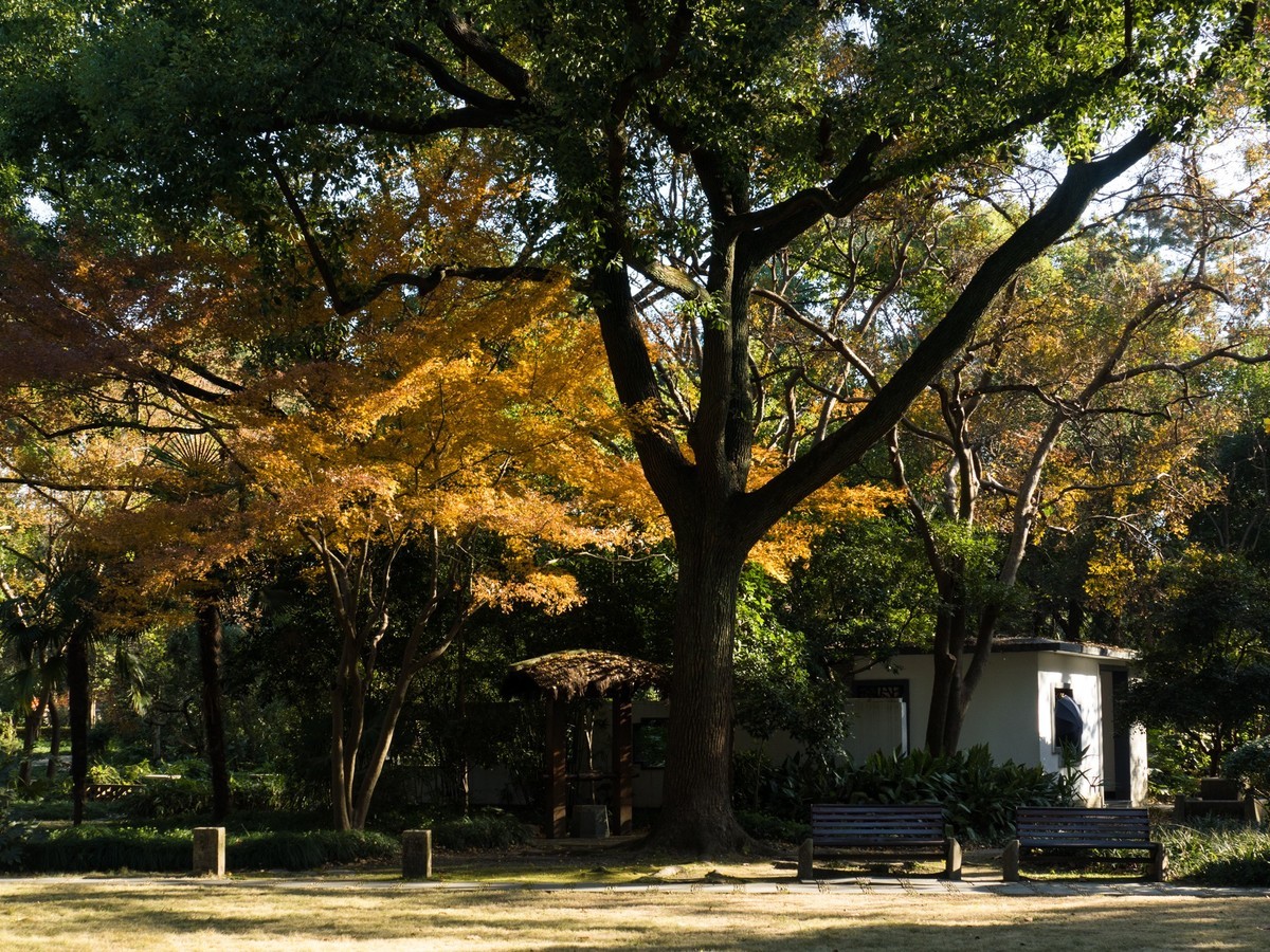 复兴岛公园（2）