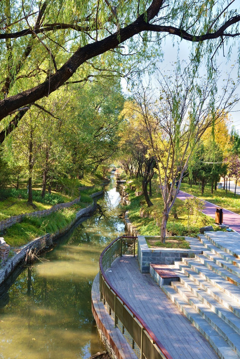 京西玉泉山下稻花飘香    2/3