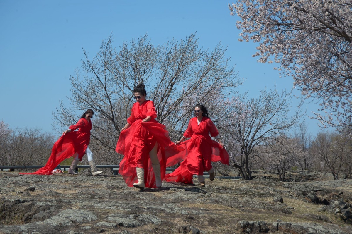 镜泊——火山岩台地杏花树林（5）