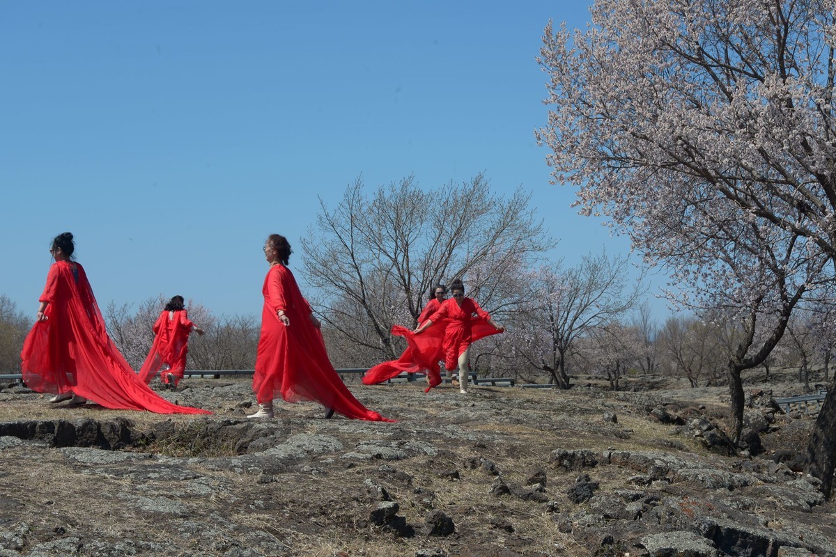 镜泊——火山岩台地杏花树林（5）