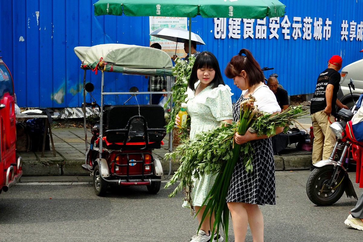 【端午节】青城山药王大道艾叶飘香