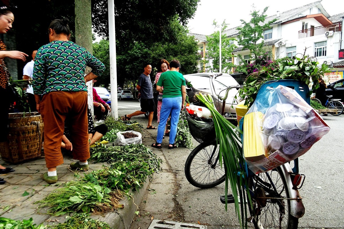 【端午节】青城山药王大道艾叶飘香