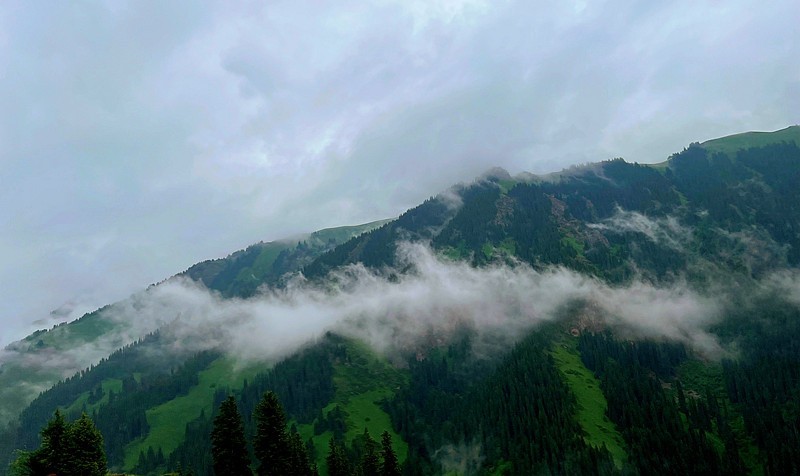 《不老松：纪实摄影》手机片：甘肃、新疆游！（23）唐布拉景区！（2）