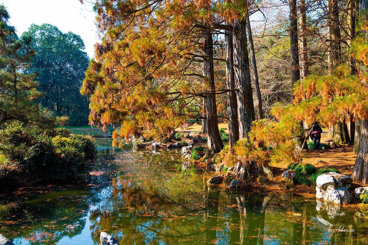 西湖冬景（15）