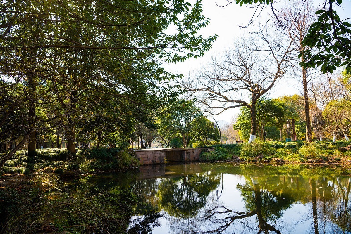 西湖冬景（15）